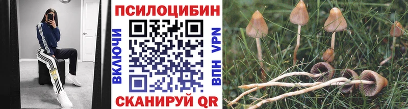 Псилоцибиновые грибы Cubensis  Чехов 
